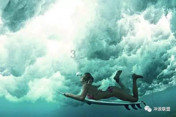中华白海豚为国家一级保护动物被称为海上大熊猫